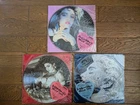 MADONNA 1987 Japan Lot of 3 PICTURE DISC LP First Album Like A Virgin True Blue
