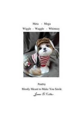 Meta - Mega - Wiggle - Waggle - Whimsey by James D. Collier [Paperback]
