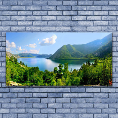 Acrylglasbilder Wandbilder aus Plexiglas  140x70 Wald See Gebirge Landschaft