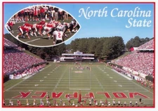Wolfpack North Carolina State University Raleigh  Football Stadium Postcard