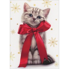 Gray Kitten Wearing Large Red Bow Snowflakes Cute Cat Box of 10 Christmas Cards