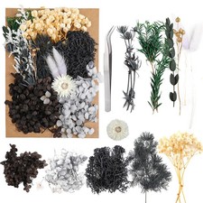 Dried Flowers Set DIY Scrapbook Accessories Arrangements Decoration Black