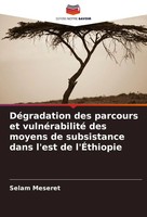 Selam Meseret | DéGradation Des Parcours Et VulnéRabilité Des Moyens De...