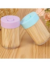 Toothpick Holder Container Disposable Wooden Toothpicks Travel Case