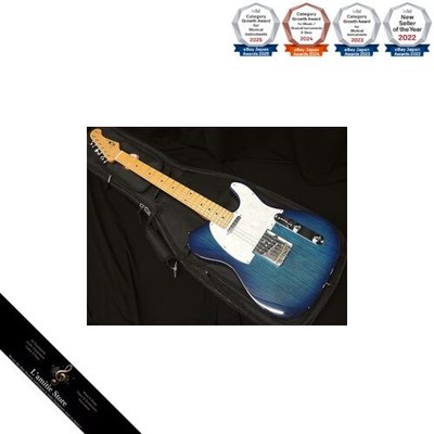 Fujigen FGN FUJIGEN NTE10MAH SBB Neo Classic SERIES Fujigen Telecaster Type
