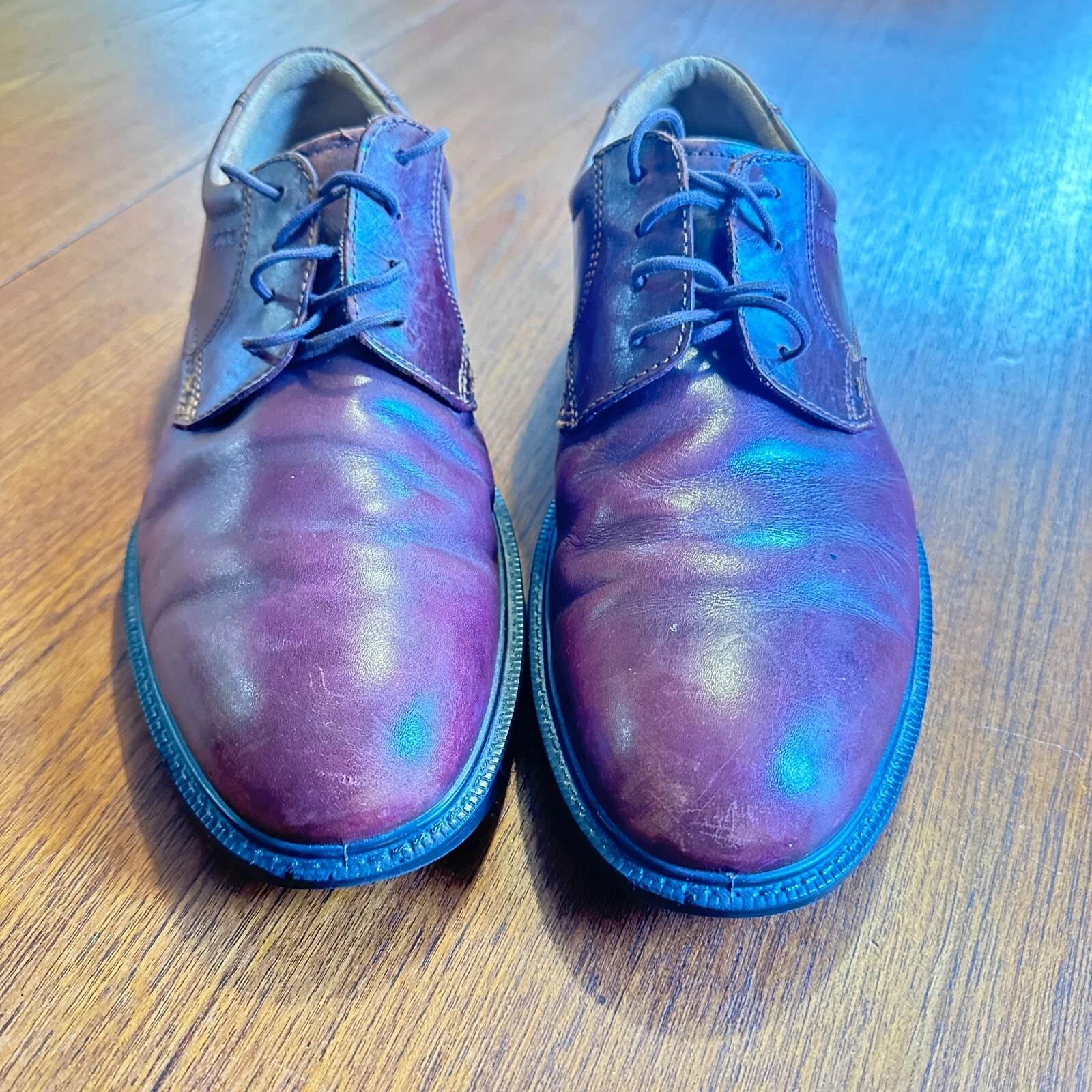 ECCO Pelle Derby Oxford Marrone Uomo 46 Classico Preppy