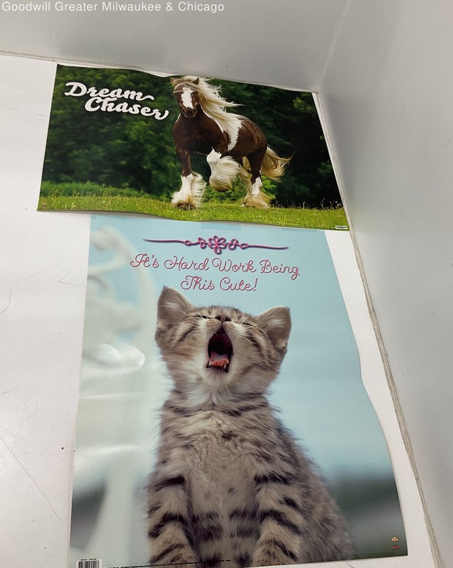 2 Early 2000's Scholastic Motivational Posters Horse and Kitten