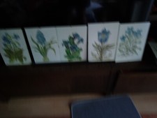 Gemalte Blumenbilder mit Rahmen