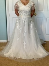 Ivory A-Line Tulle Wedding Dress Lace Applique V-Neck Short Sleeve Button Back
