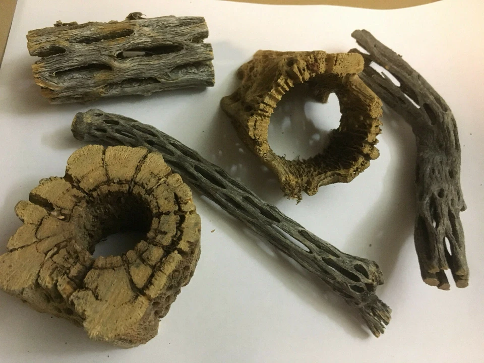 ALLROUNDER MIX = 6 x 25gr Futtersticks, 50gr Erlenzapfen, 10 SMBB, 1 Vuka Cholla - Bild 2 von 2