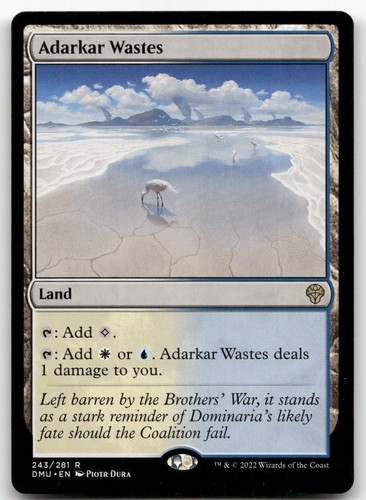 Adarkar Wastes 243/281 Dominaria United Rare Land