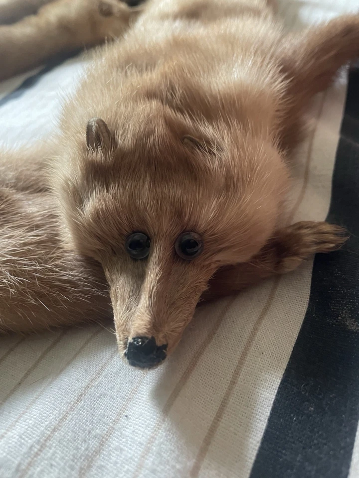 Mantón de visón pastel genuino vintage de Caprice Foto 3 de 4