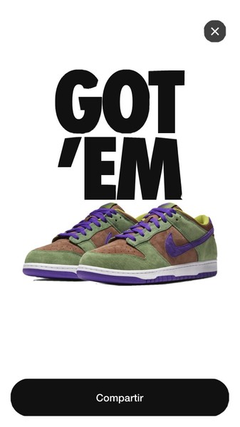 Dunk Low Veneer Us9