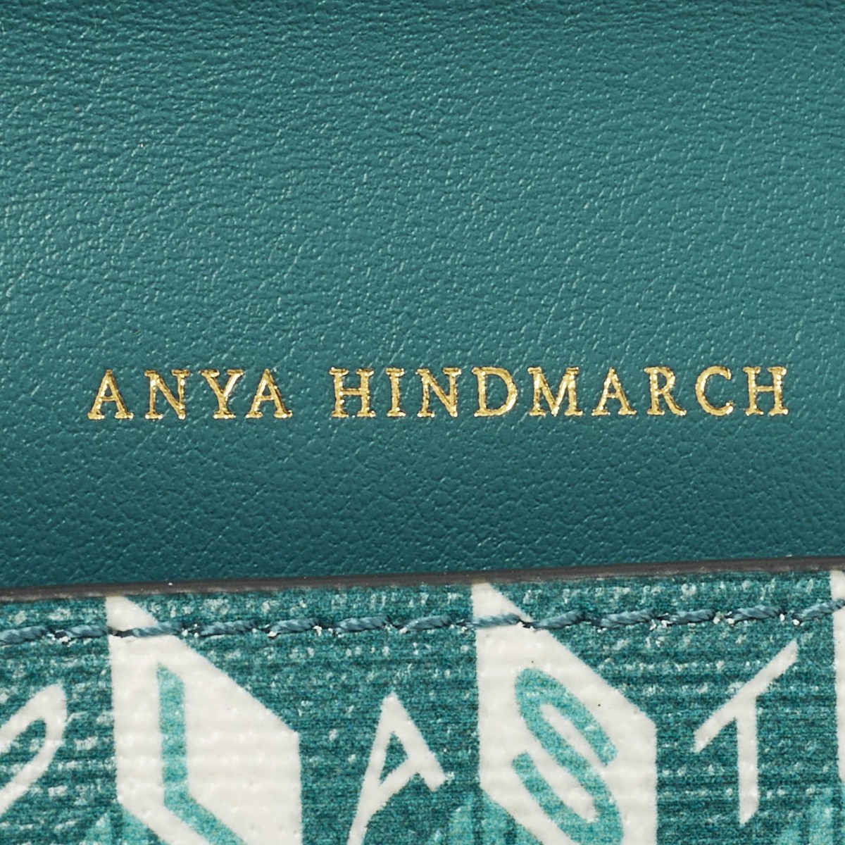 Anya Hindmarch Zany Green Coated Canvas and Leather Envelope Card