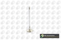 Einlassventil BGA V917010 FüR Toyota Urban Cruiser Auris Yaris Verso IQ Corolla