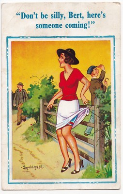 Donald McGill Comic PPC, 1965 PMK, Don't Be Silly, Bert, Here's Someone Coming