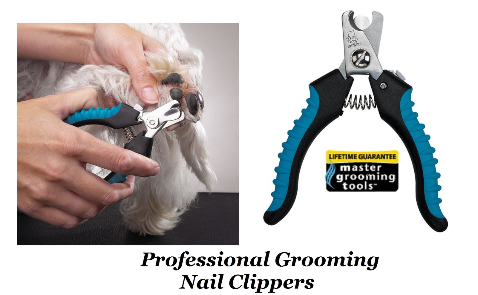 bird grooming tools