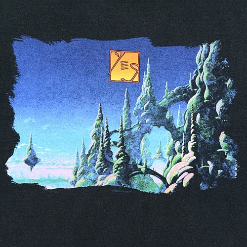 YES THE LADDER Concert Tour - Winterland T-Shir 1990s vintage concert t-shirt, vintage, size L, single stitch, B+ condition