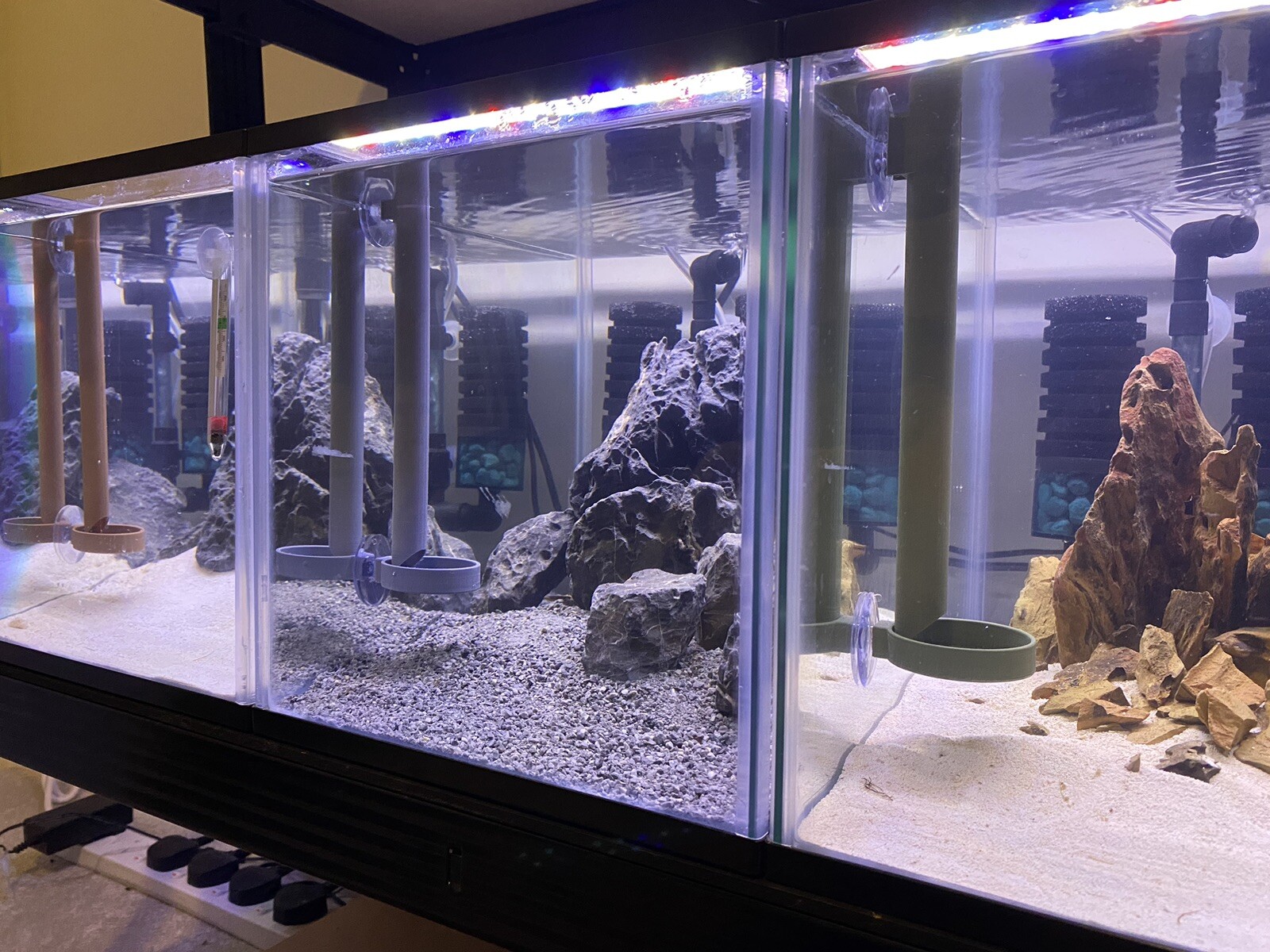 8-21” qualsiasi colore! SHRIMP Serbatoio Mangiatoia Piatto Aspirazione Tubo Vassoio Acquario foto 6