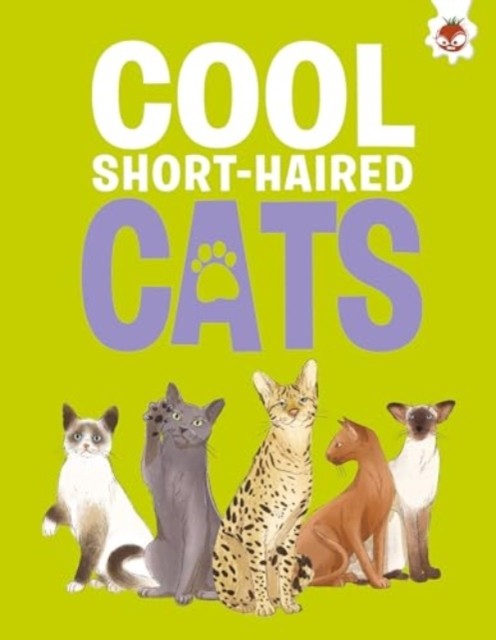 Cool Short-Haired Cats by Eliza Jeffrey (Paperback Book)