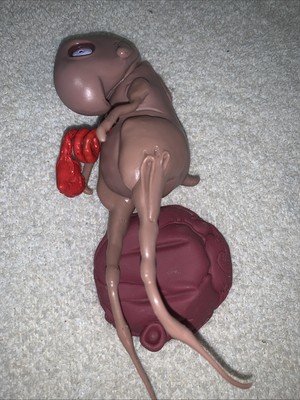MONKEY FUN TOYS 2002 ROMAN DIRGE BETRAYAL MONSTERS IN MY TUMMY FIGURE Unique!