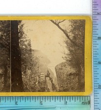 Gorge dans les palissades de la rivière Hudson NJ New Jersey E&HT Anthony Stereoview