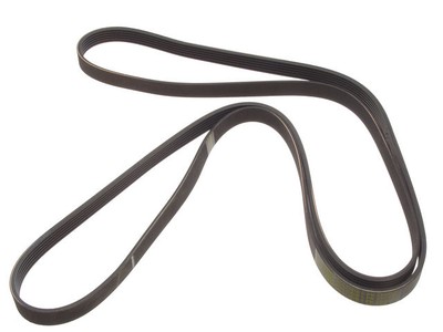 ContiTech 97DZ29V Primary Multi Rib Belt Fits 2003-2004 Audi RS6