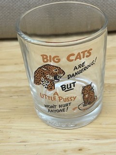 Big Cats are Dangerous but Little Pussy won't Hurt Cats Shot Glass 3" x 2"