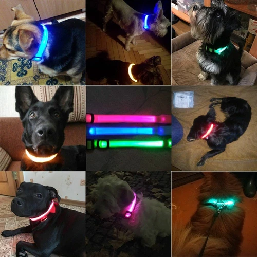 Collar LED de carga USB para perro antipérdida accidentes automovilísticos cachorros suministros de plomo - Imagen 3 de 11