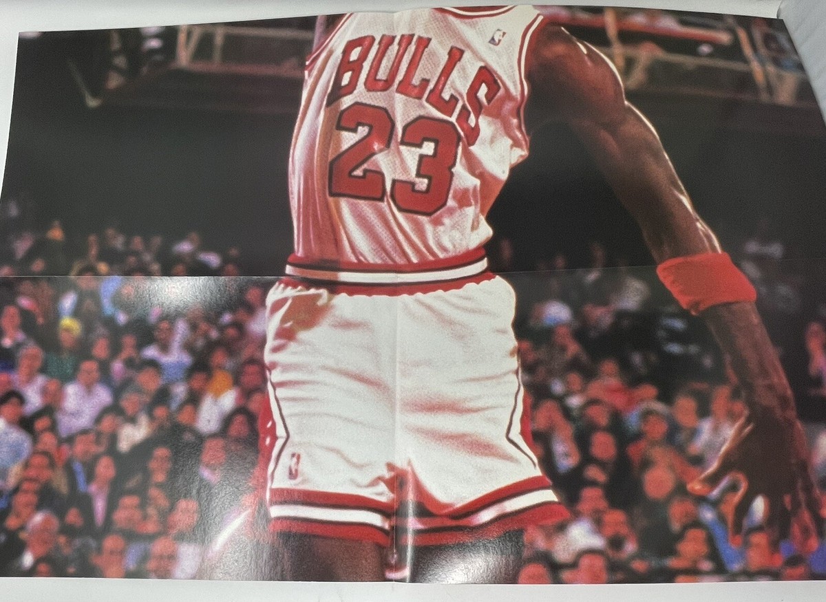 1989 Michael Jordan Wheaties Poster Set of 3, Which Combine to