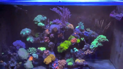 PopBloom 2PCS RL90 Reef Led Aquarium Light 48 Saltwater Reef