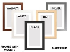 Photo Frames With WHITE  / IVORY  Mount For Art Picture Frames - Custom Frames
