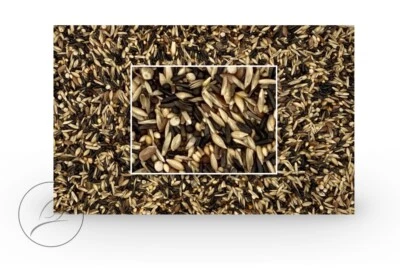 1kg Kapuzenzeisig Vogelfutter (6,92€/kg) von avi-complete