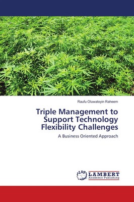 Triple Management to Support Technology Flexibility Challenges | Raheem | Buch