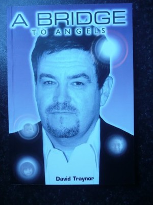 Bridge to Angels - Traynor, David