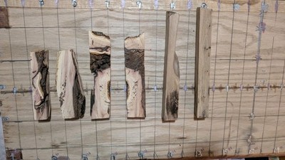 Post Oak Burl Wood Blank Figured White Oak Woodturning Knife Scale Craft Block
