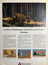 1965 Weyerhaeuser Co Tacoma Wash Pulp Paper Lumber Plywood Bear VTG Print Ad