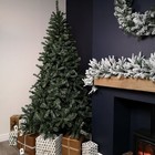 Picture 5 of 8