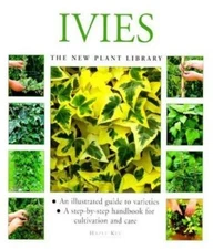 Ivies by Key, Hazel