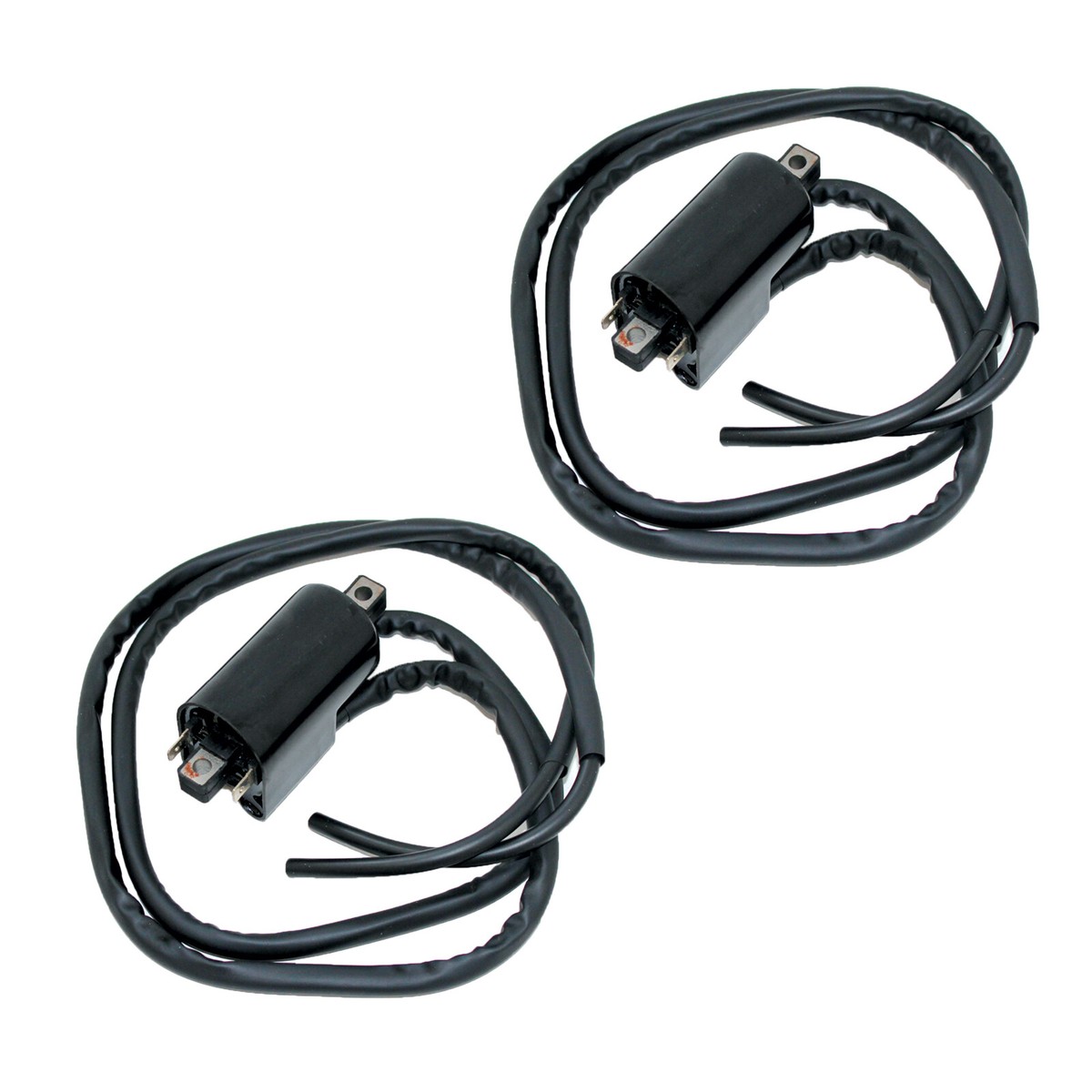 2 Ignition Coil for Suzuki GV1200Glf GV1200Glg GV1200Glf2 Madura