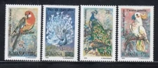 ROMANIA Macaw, Peacock, Peafowl & Cockatoo BIRDS MNH set