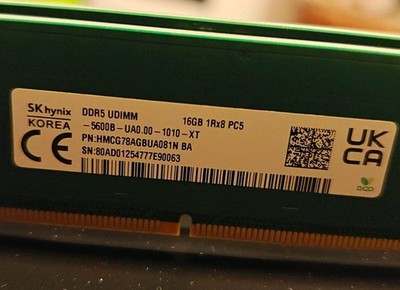 2 stück SK hynix 1x16GB DDR5 SDRAM UDIMM 5600B RAM HMCG78AGBUA081N