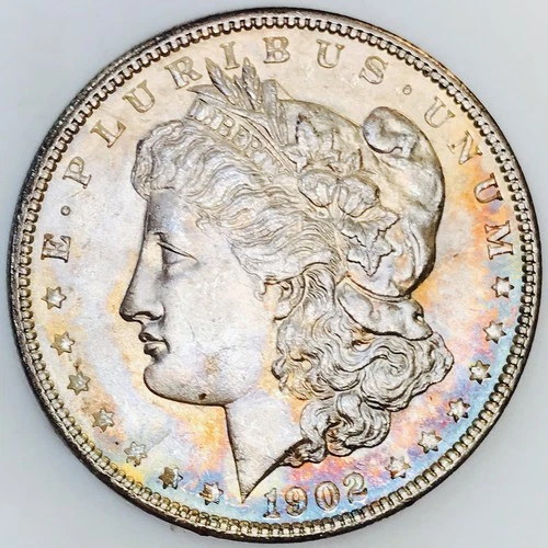 1902 P MORGAN DOLLAR! MS+++! STUNNING TONING! SPECTACULAR! UNREAL! NR #S1082