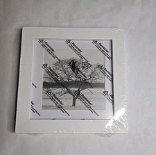 6x6 Picture Frames Made of Solid Wood Covered by Plexiglass Display 4x4