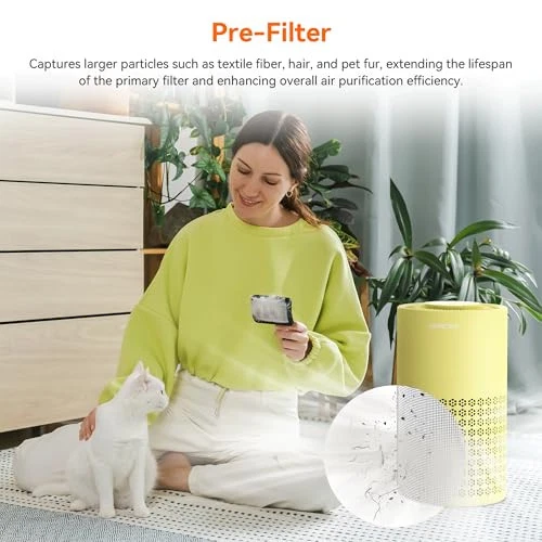 HEPA Air Purifier for Bedroom and Home with Pet Hair Filter