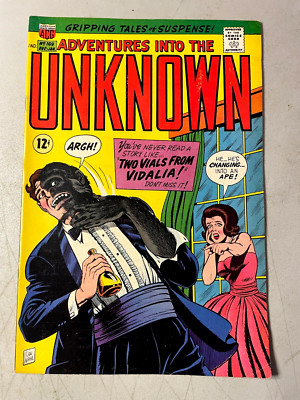 Adventures Into The Unknown #169 / 1966 / ACG / VF Condition