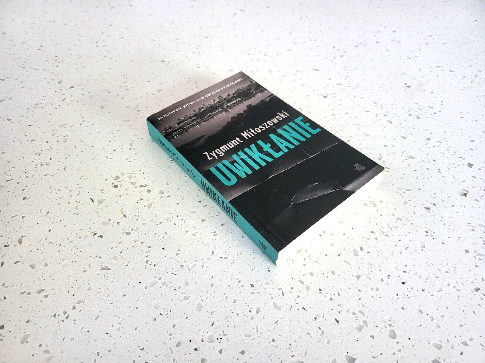 Uwikłanie Zygmunt Miłoszewski Polish Book Książka po Polsku Teodor Szacki