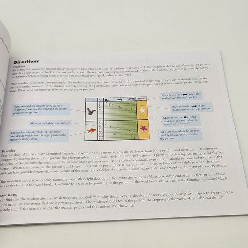 Picturing Vocabulary Tracking Charts Visualizing and Verbalizing Nanci Bell - Picture 7 of 10