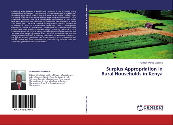Gideon Wafula Wekesa | Surplus Appropriation In Rural Households In Kenya | Buch-image