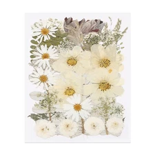 50 Pcs Dried Pressed Flower Leaves Bulk for Resin, Winter Silver